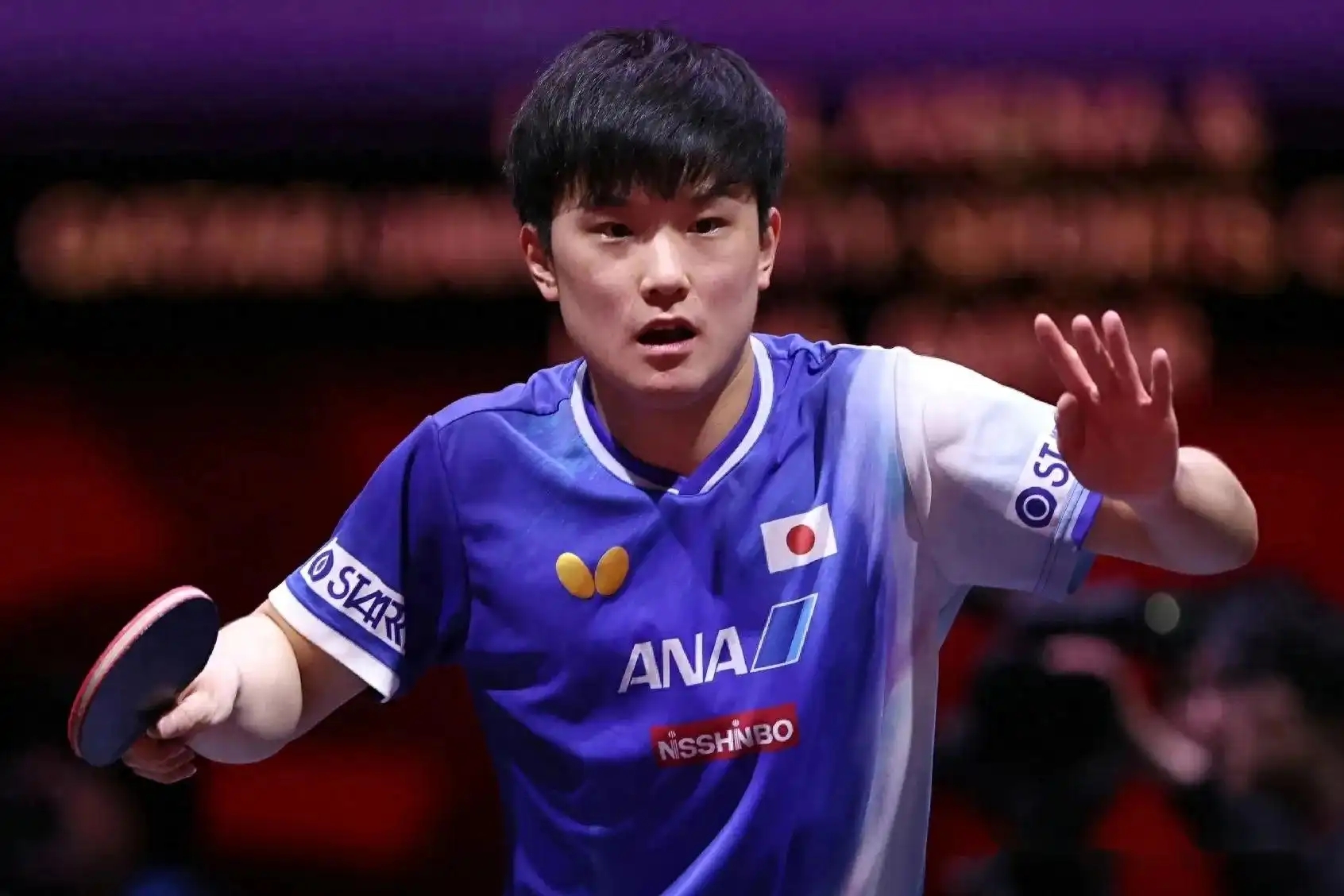 德国乒乓球队力克法国乒乓球队，张本智和爆发神勇