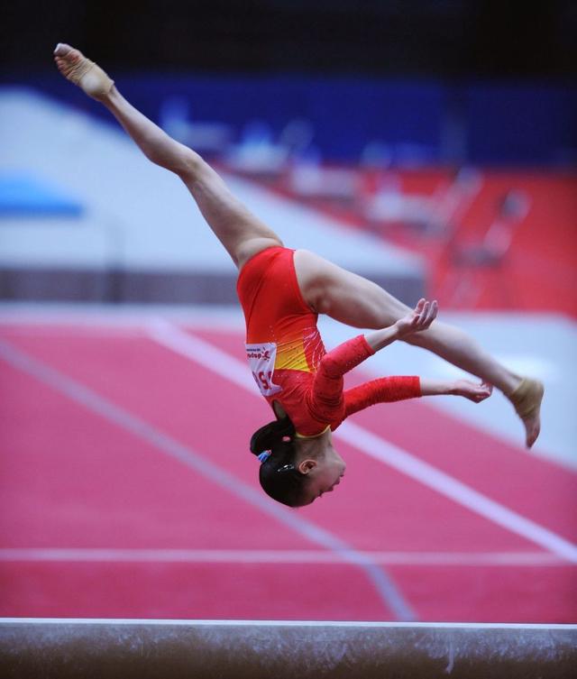 专家预测体操胜率超六成，结果成焦点的简单介绍