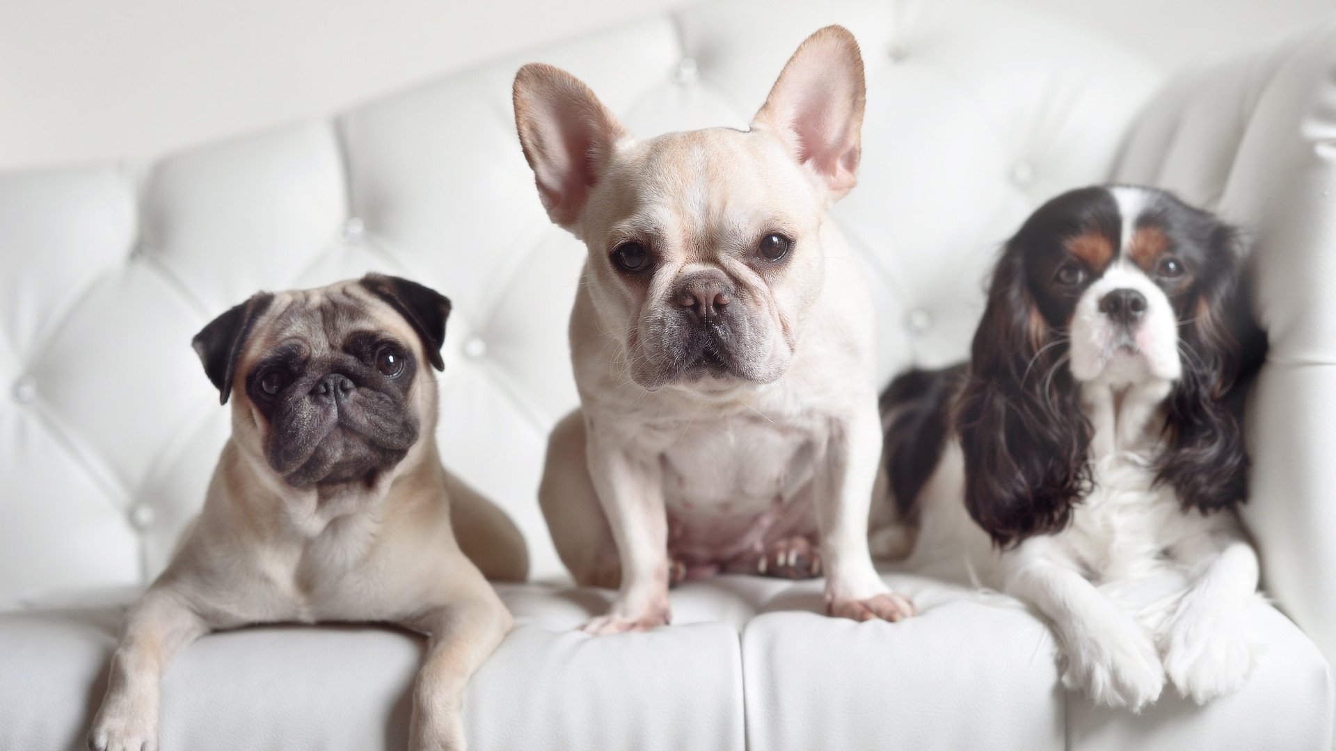 绿茵几何学,当梅西的弧线解构F1新秩序