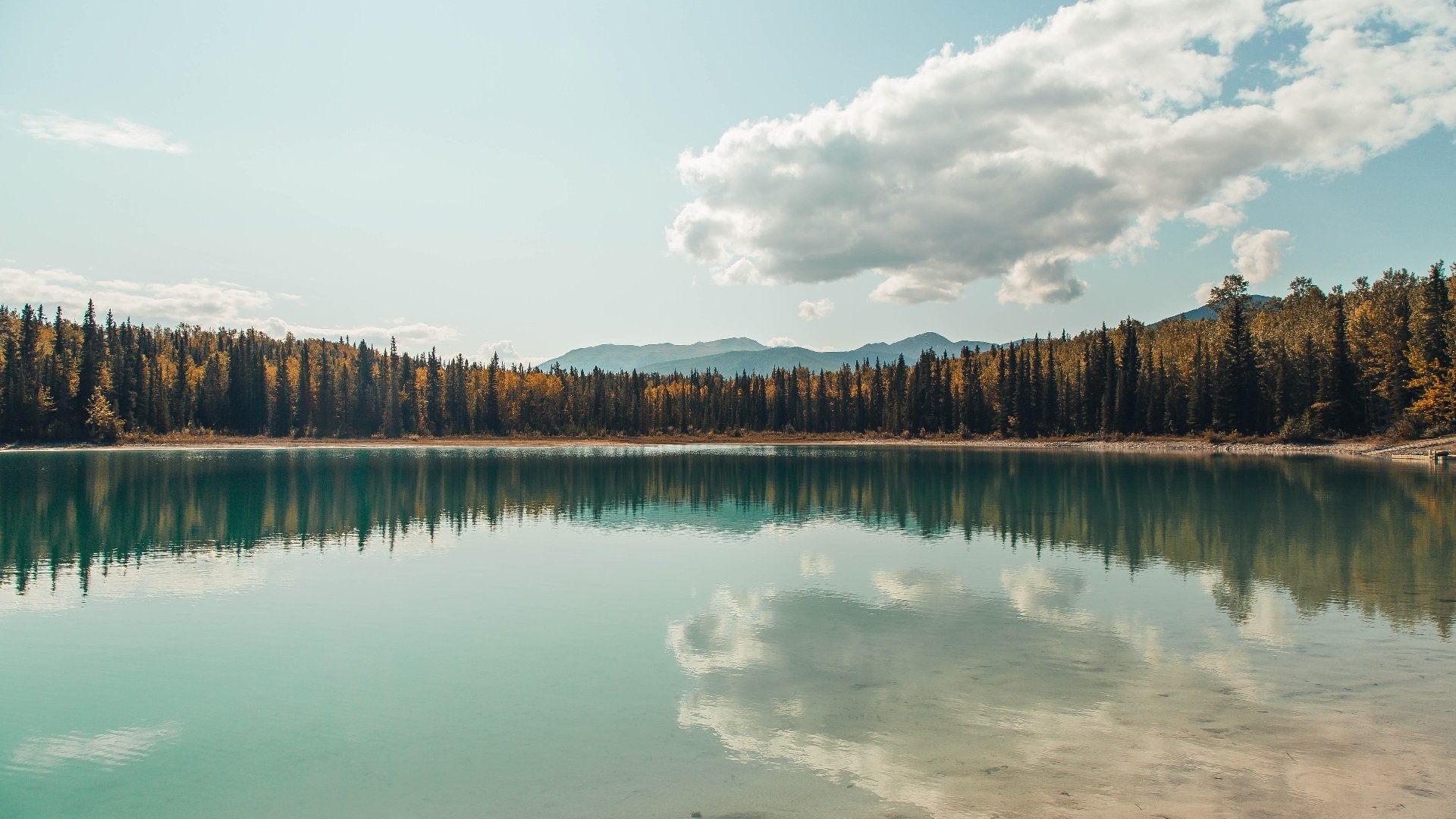 体育之夜的奇妙共振，欧洲足球之夜与洛杉矶篮球风暴
