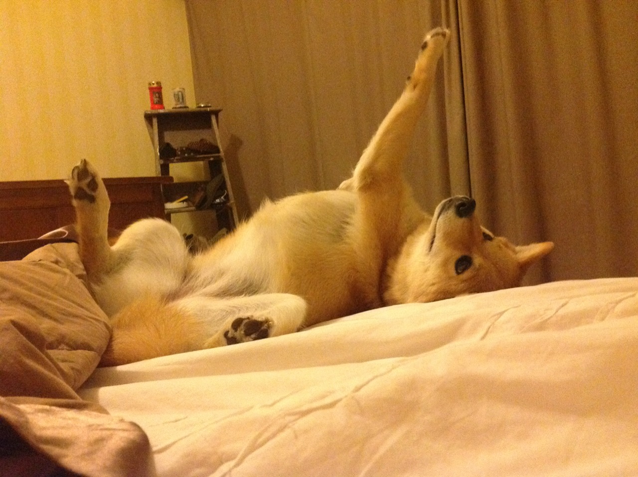 当京多安的灵魂在巴西舞步中苏醒，一场尼斯的传奇午后