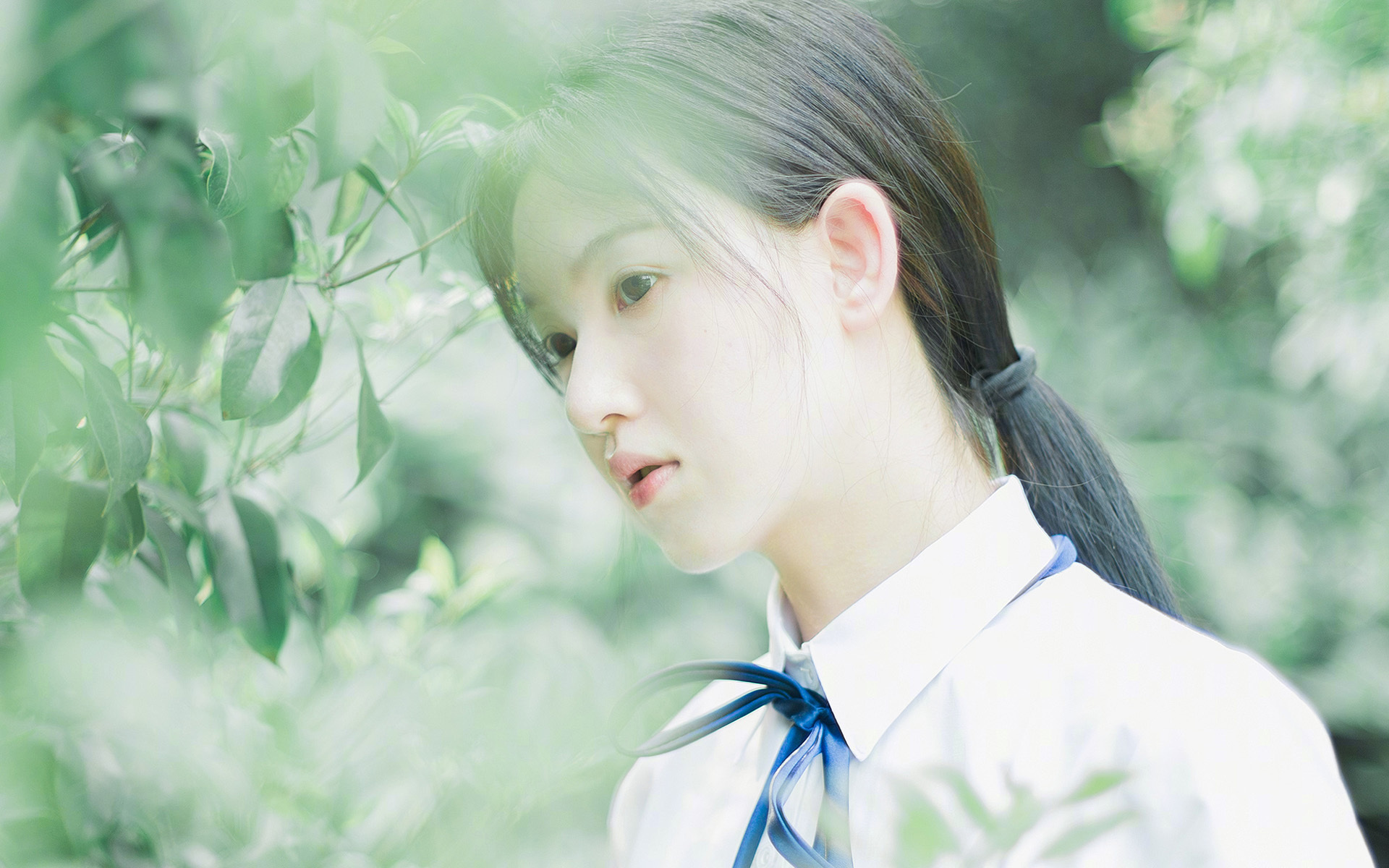 独舞与合唱，哈利伯顿的华丽进攻，与山西队的团队浪潮