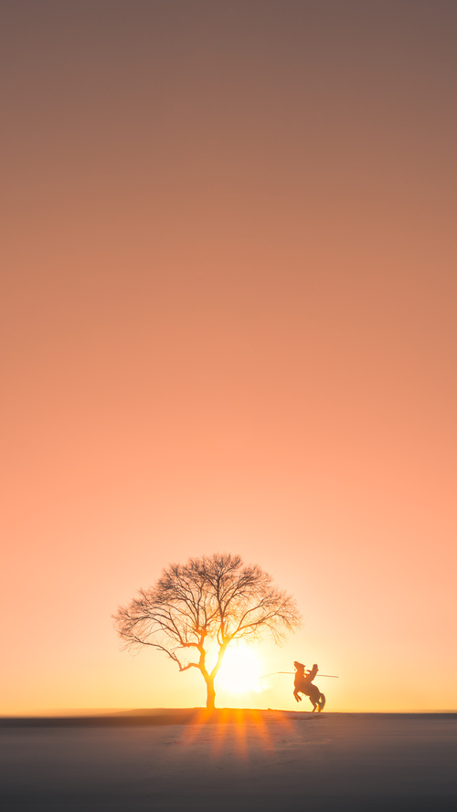 沙漠之光斩断潘帕斯，伊布爆发助阿尔及利亚加时逆转智利