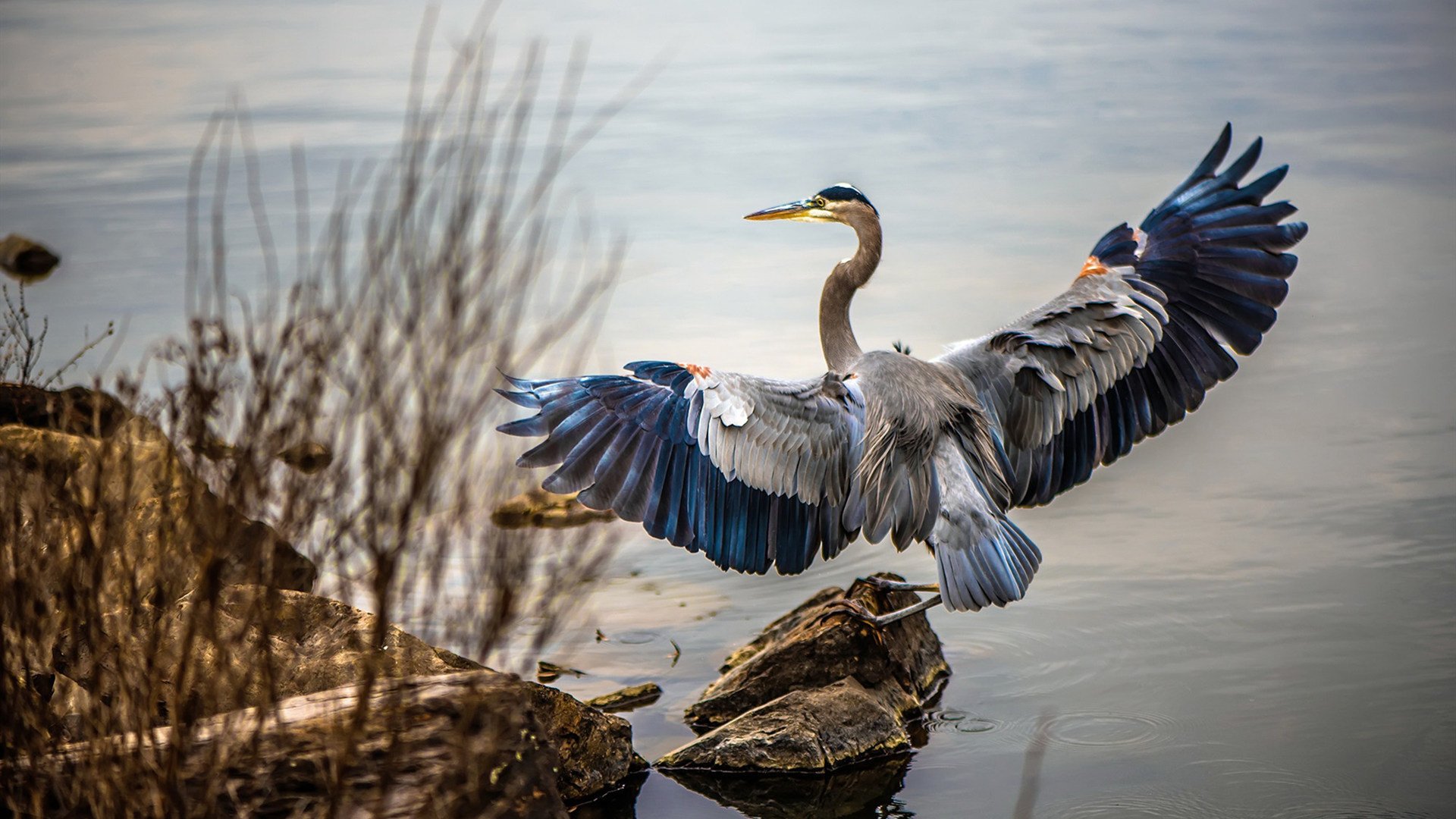 美加墨世界杯之夜，哈利伯顿全程高能输出，铸就篮球传奇