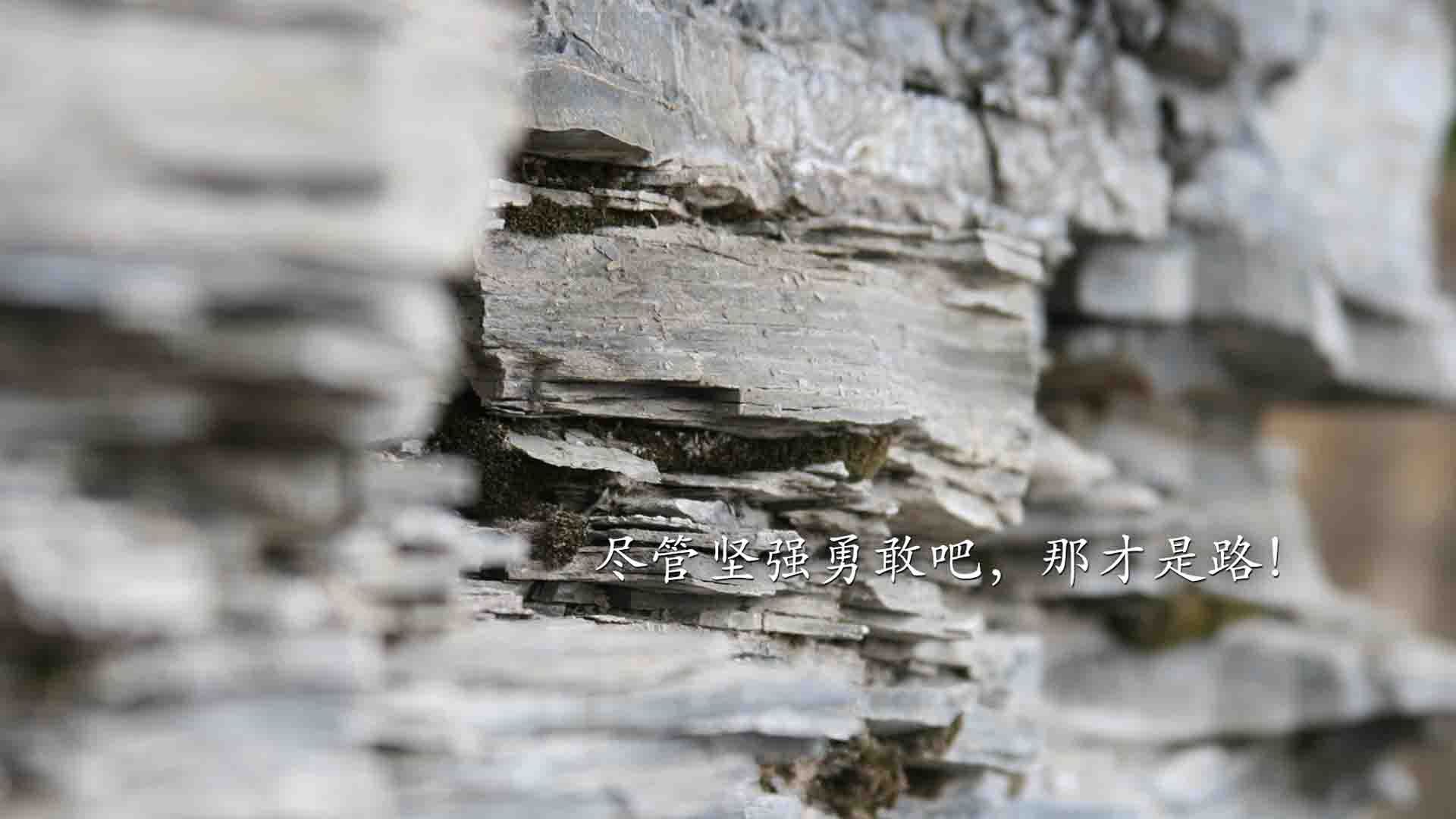 幽灵主帅，苏亚雷斯如何用沙盘推演掌控了法爱之战的每一分钟