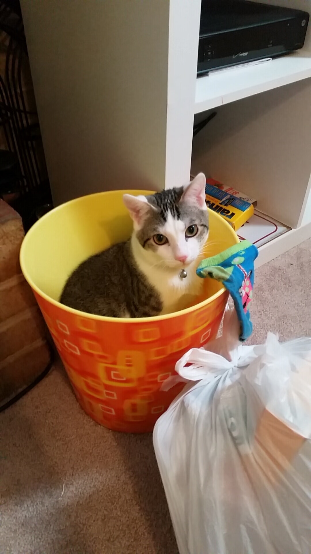 硬撼与狂潮，灰熊撕裂铁壁，字母哥降下神罚