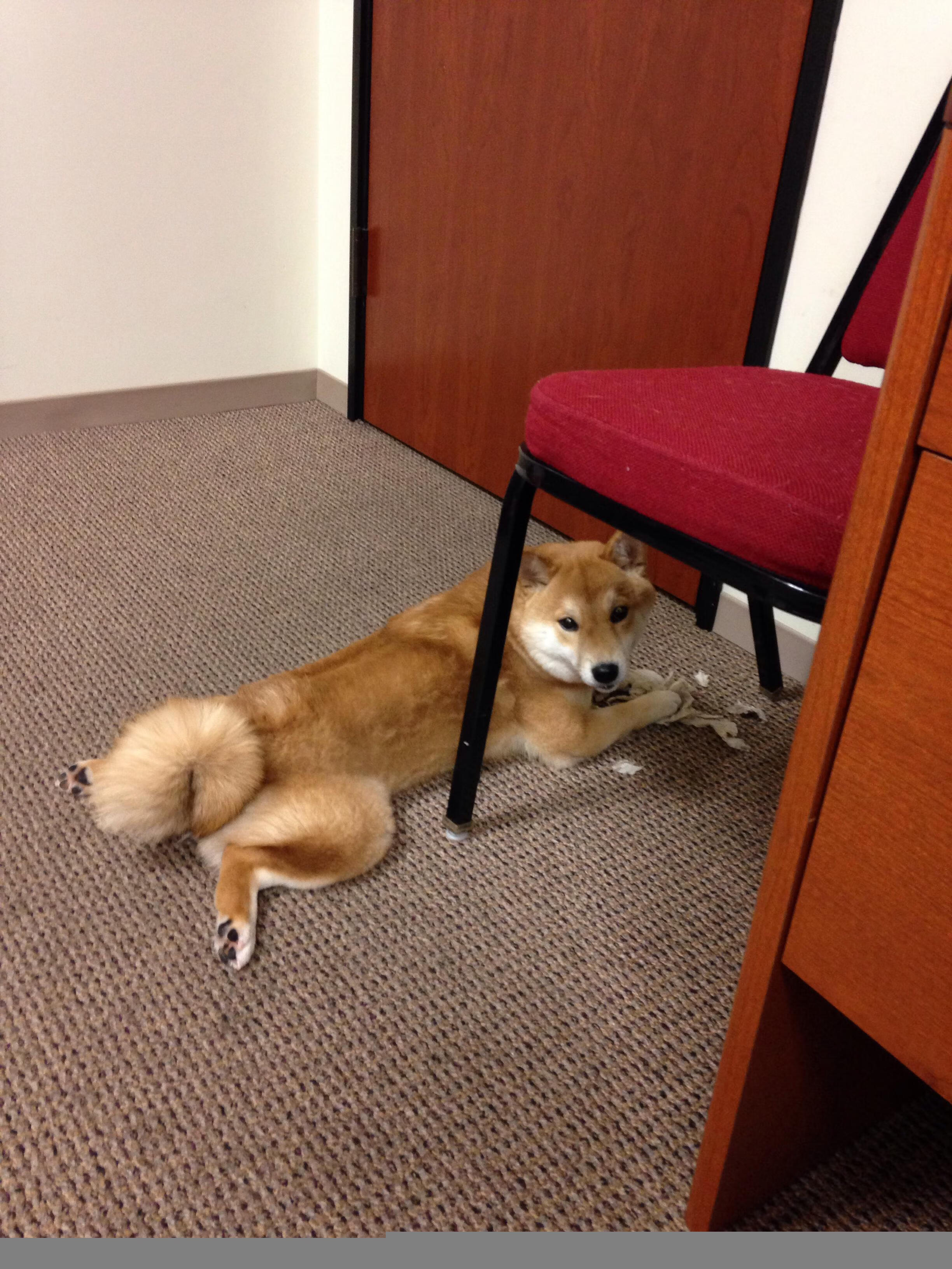 量子对决，当76人跨越时空淘汰上海队，欧文如何成为关键先生